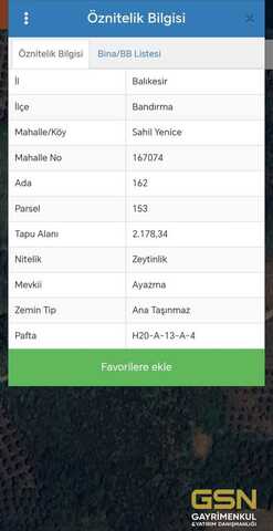 BALIKESİR BANDIRMA SAHİL YENİCE'DE AYAZMA MEVKİİN DE SATILIK ZEYTİNLİK